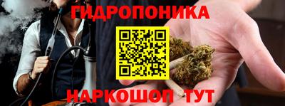 соль ск Лесосибирск