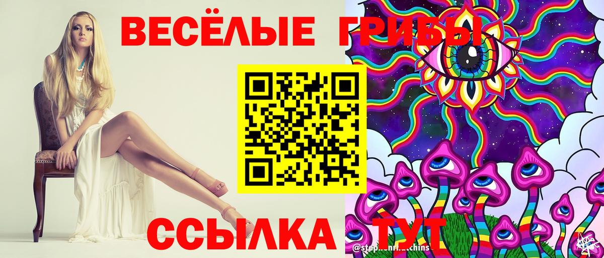 Галлюциногенные грибы Psilocybe Заволжье