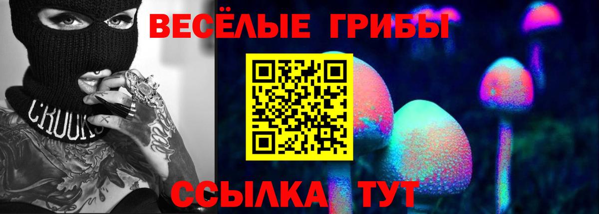 Псилоцибиновые грибы Psilocybe  Псилоцибиновые грибы мицелий  Вход с VPN  Заволжье 